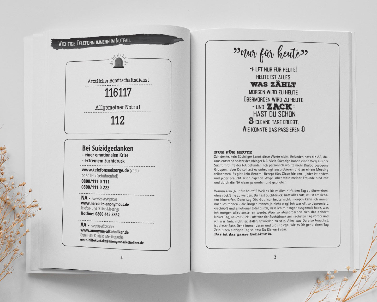 Clean & Alive - Clean Tagebuch Sucht Tagebuch (Buchdruck)