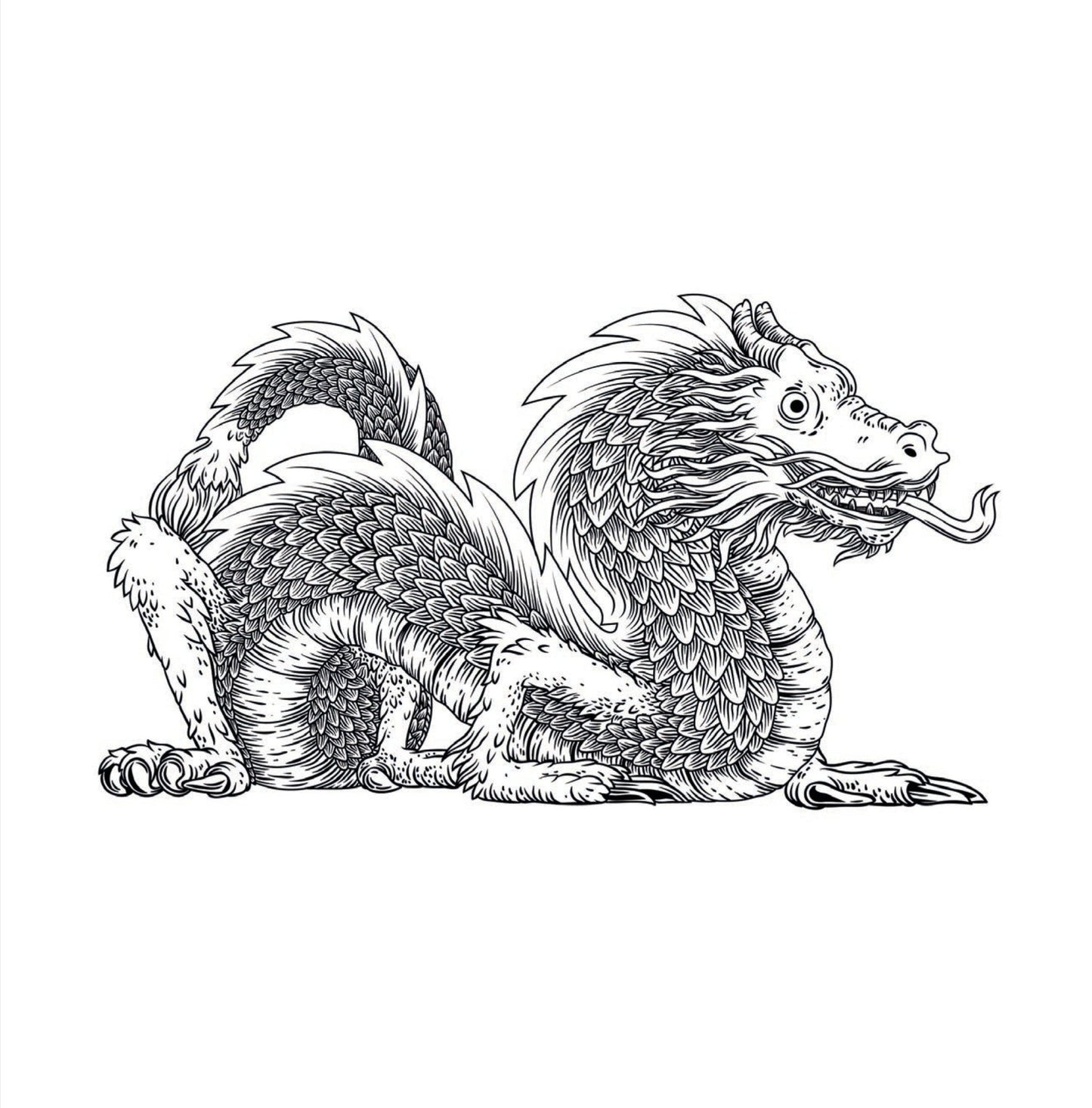 Drachen Malbuch für Erwachsene (Buchdruck) - Monsoon Publishing