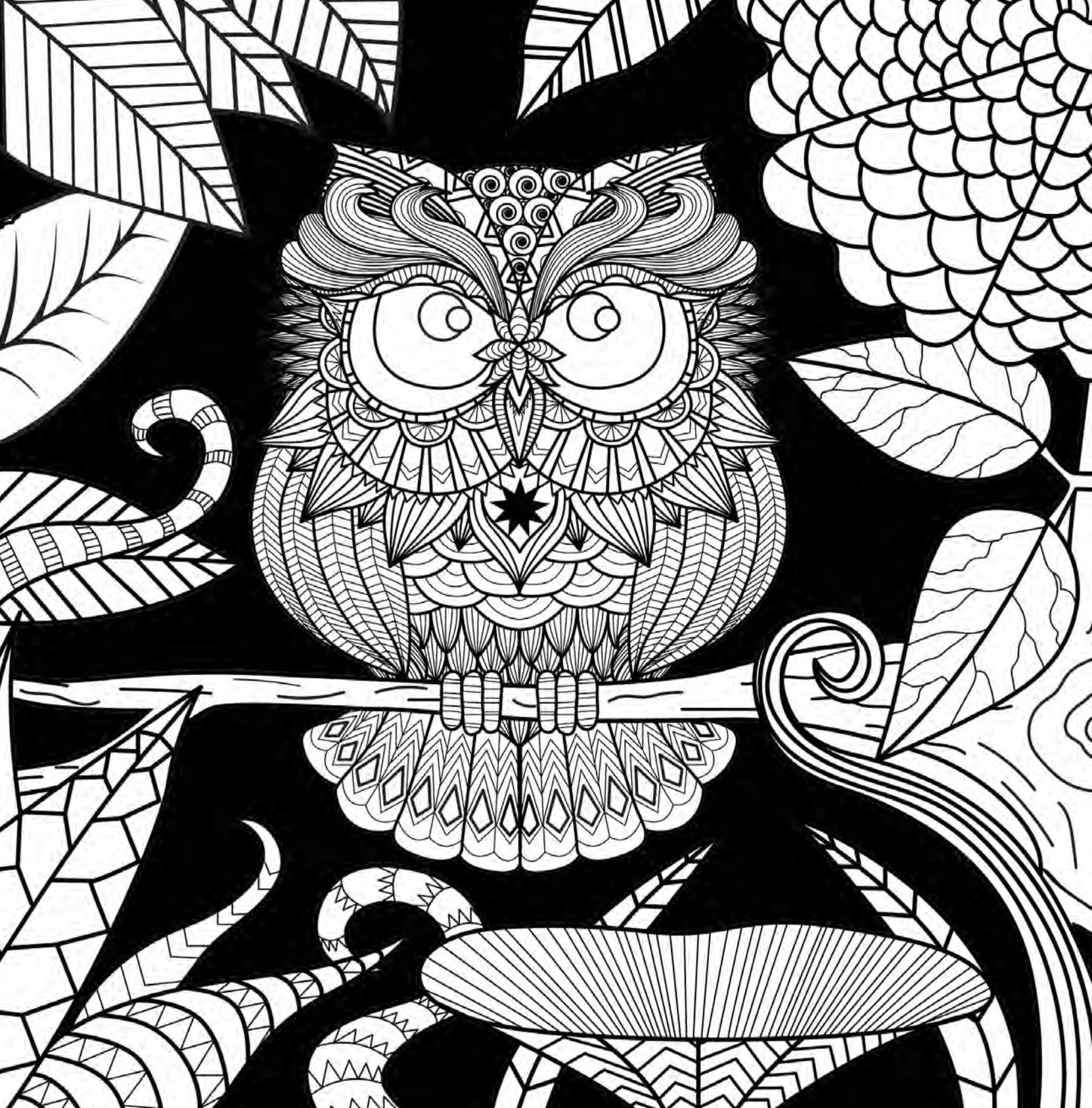 Eulen Malbuch für Erwachsene (Digital) - Monsoon Publishing