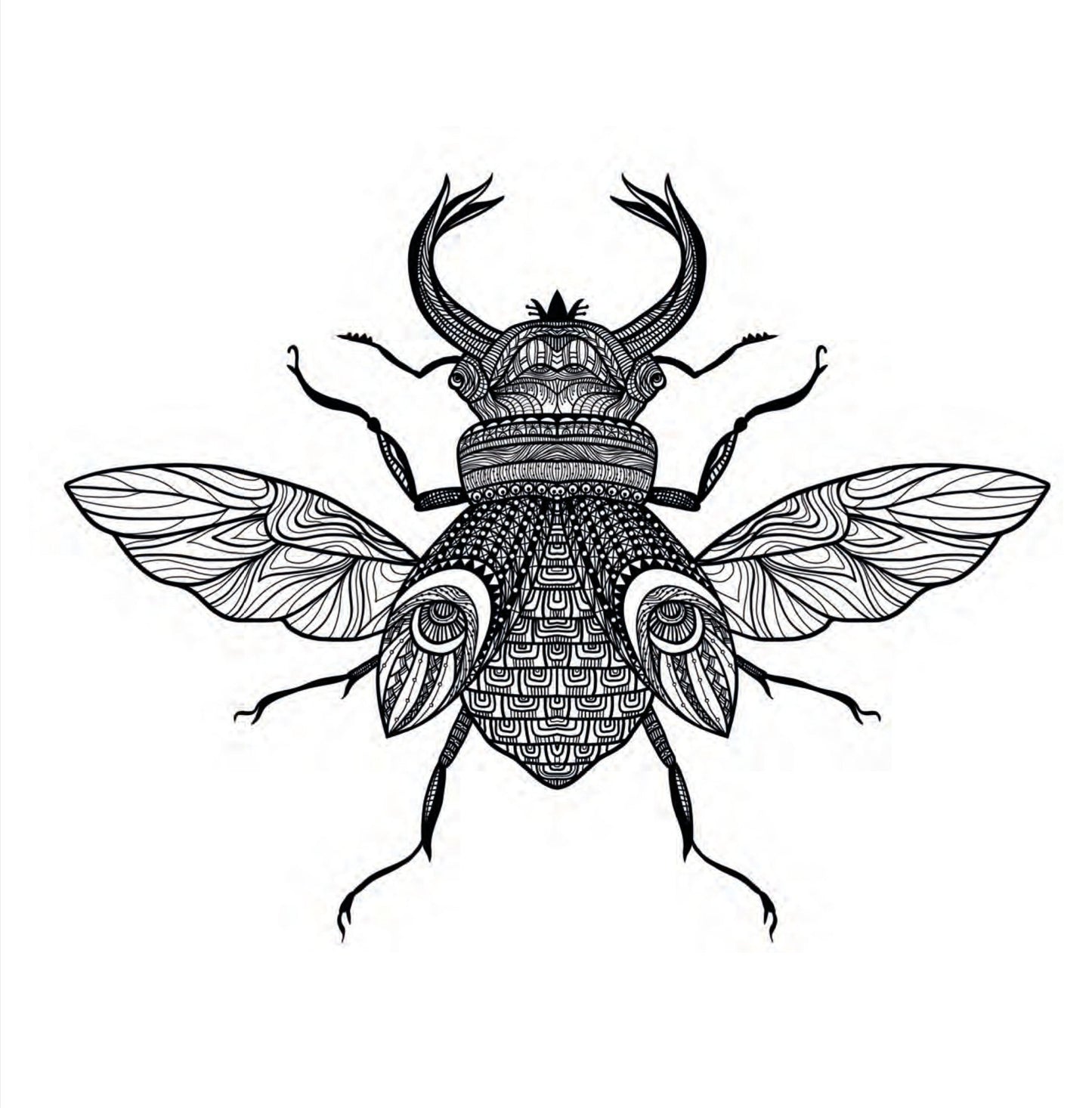 Insekten Malbuch für Erwachsene (Digital) - Monsoon Publishing