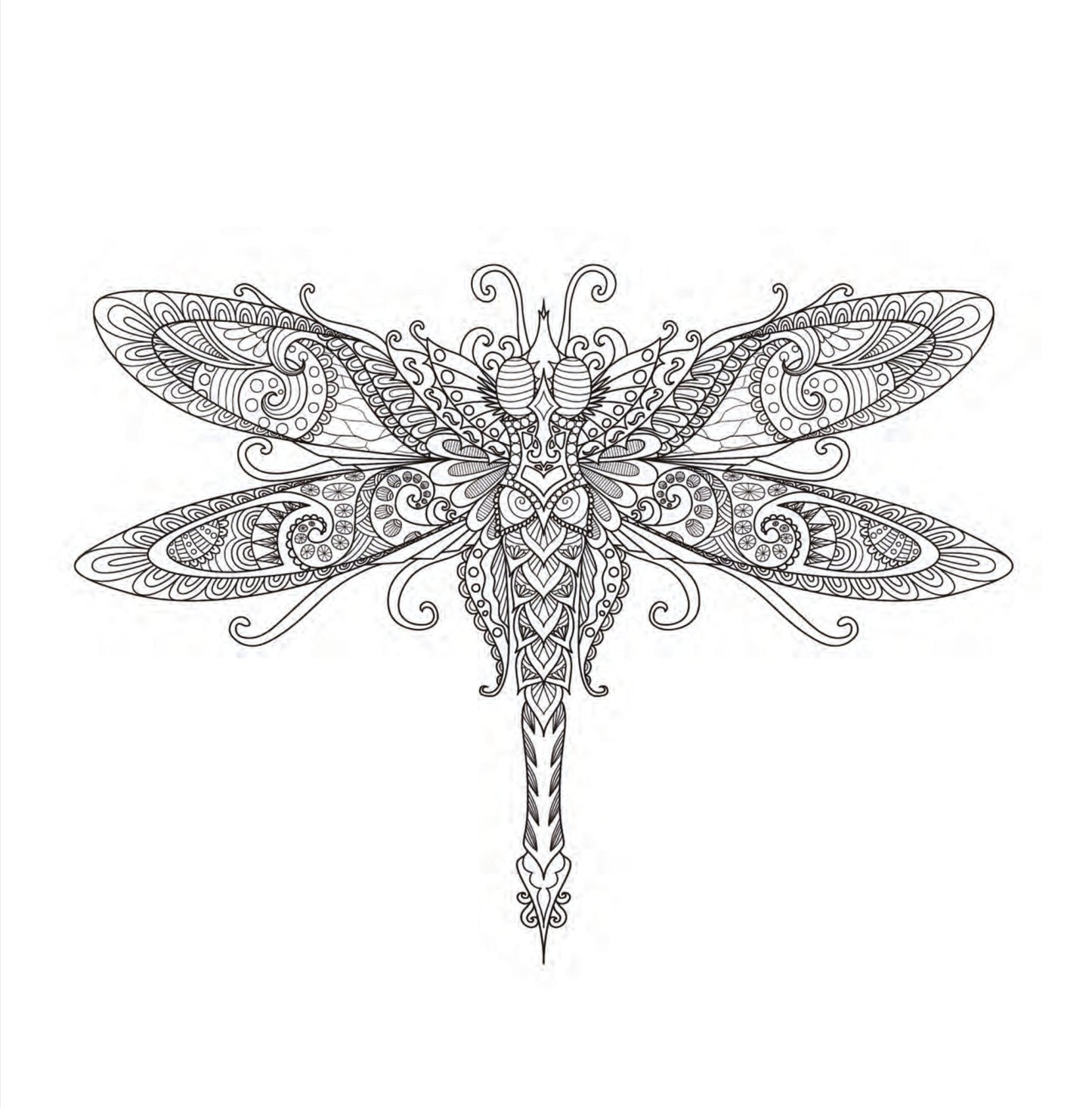 Insekten Malbuch für Erwachsene (Digital) - Monsoon Publishing