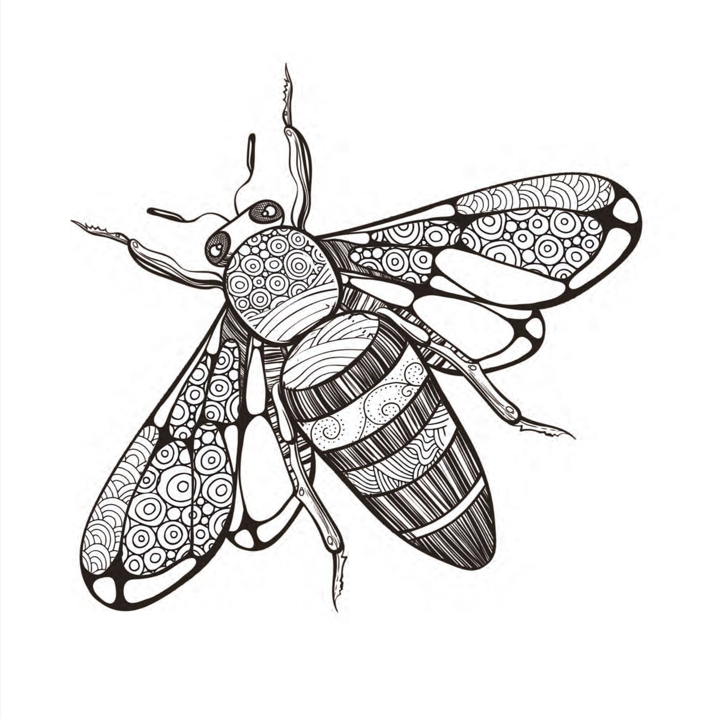 Insekten Malbuch für Erwachsene (Digital) - Monsoon Publishing