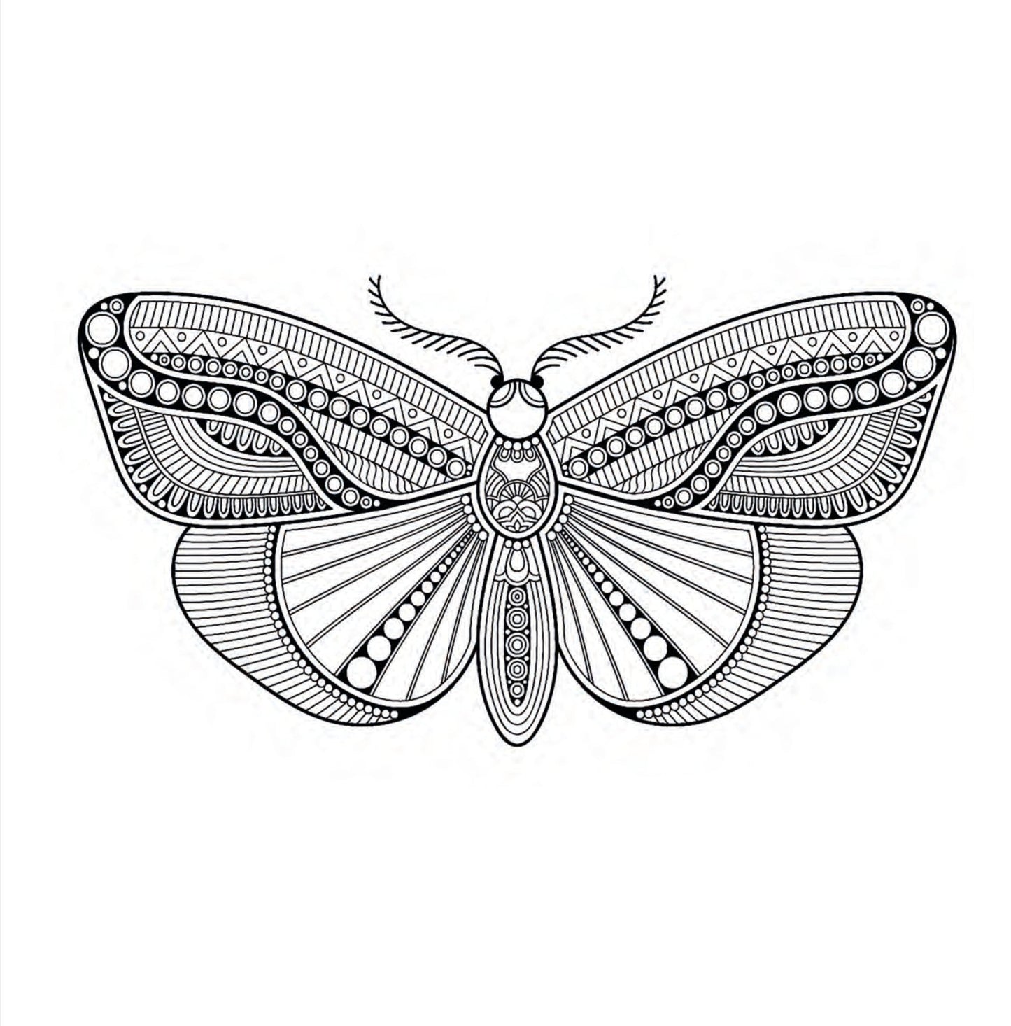 Insekten Malbuch für Erwachsene (Digital) - Monsoon Publishing