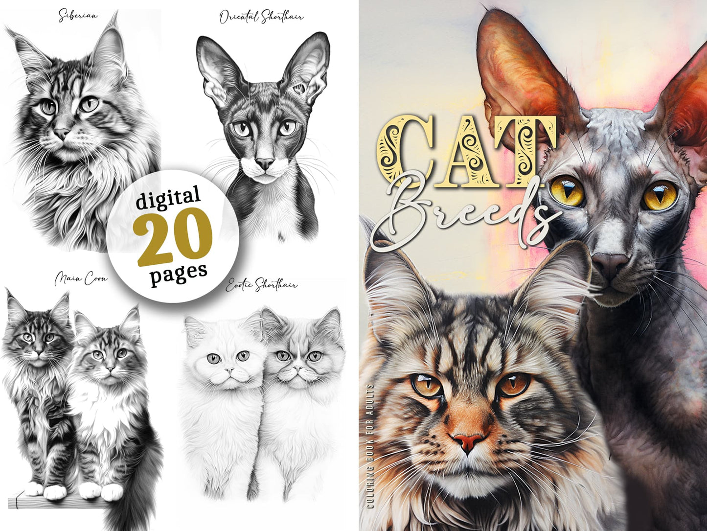 Katzenrassen Malbuch Graustufen (Digital)