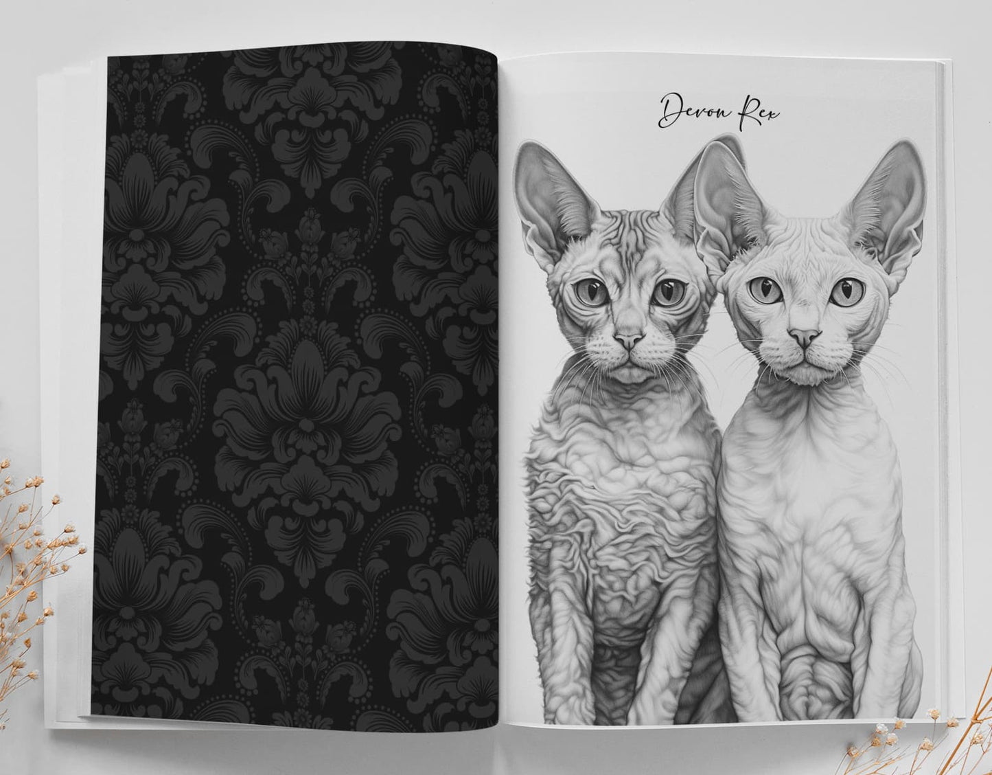 katzenrassen katzen malbuch für erwachsene graustufen von monsoon publishing