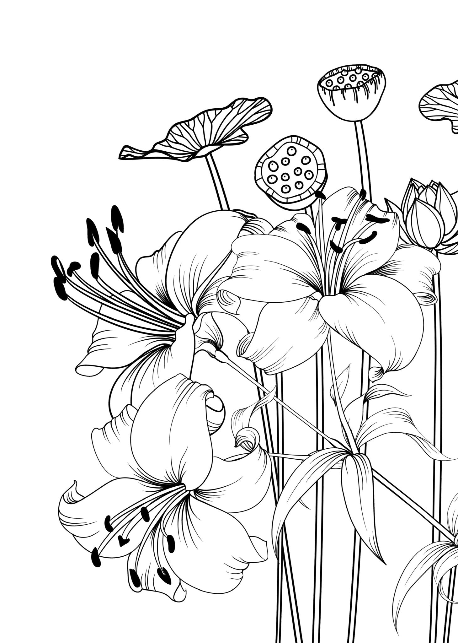 Blumen Malbuch für Erwachsene (Digital) - Monsoon Publishing