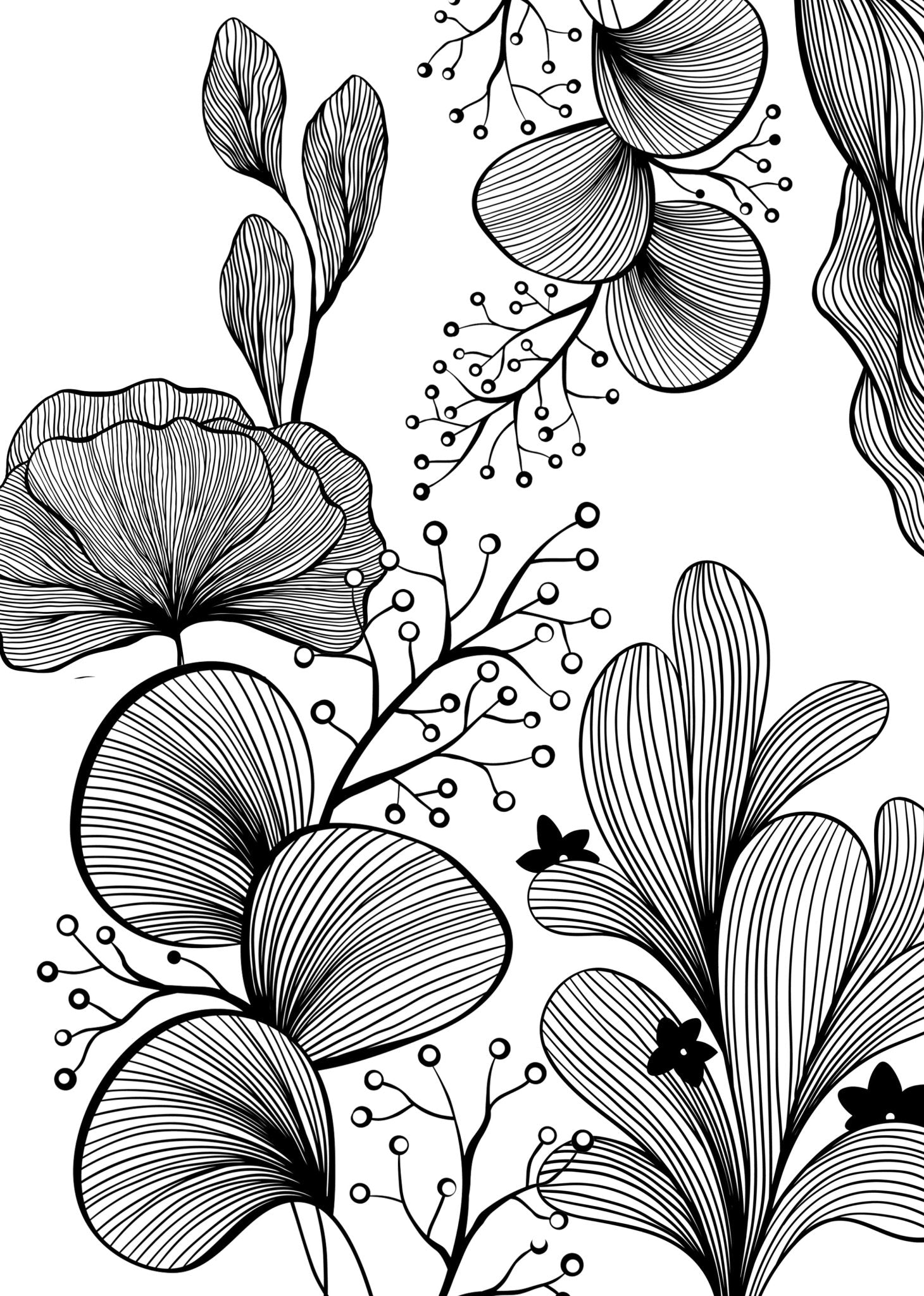 Blumen Malbuch für Erwachsene (Digital) - Monsoon Publishing