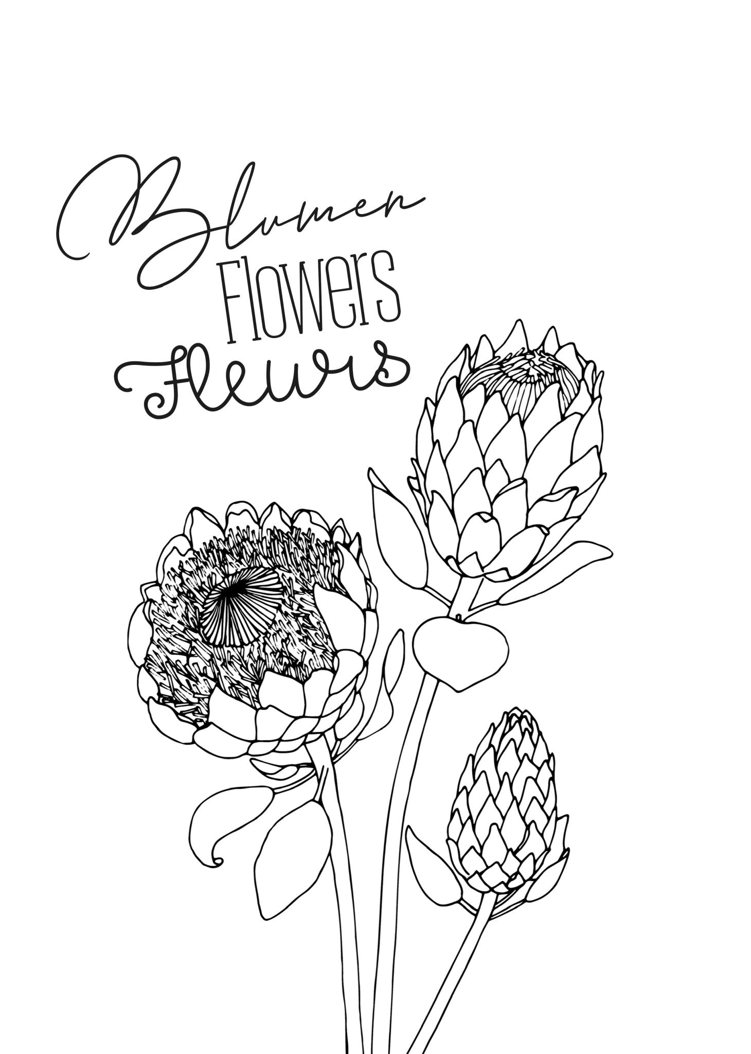 Blumen Malbuch für Erwachsene (Digital) - Monsoon Publishing