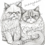 Grantige Katzen Graustufen Malbuch (Digital)