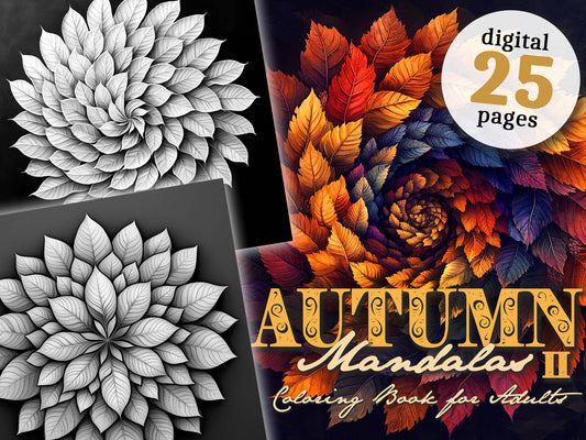 herbst mandala malbuch monsoon publishing