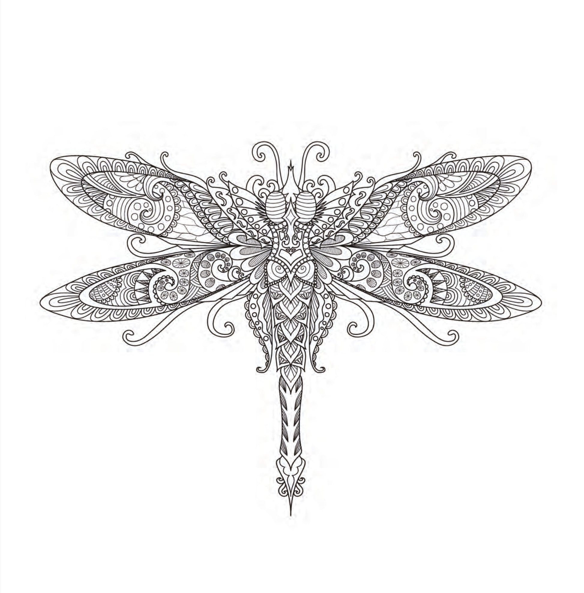 Insekten Malbuch für Erwachsene (Digital) - Monsoon Publishing