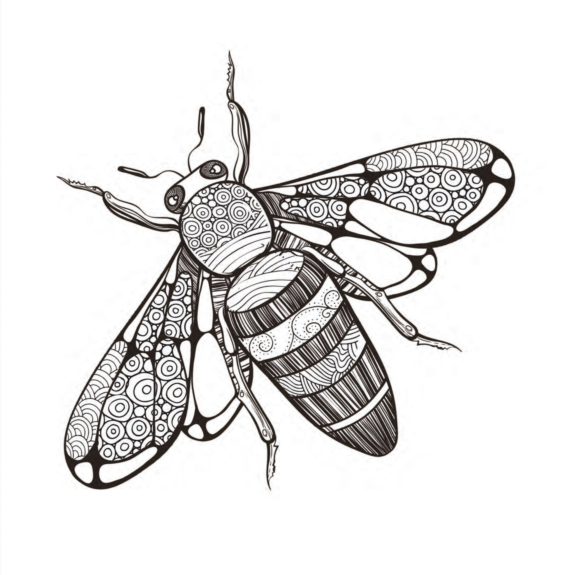 Insekten Malbuch für Erwachsene (Digital) - Monsoon Publishing