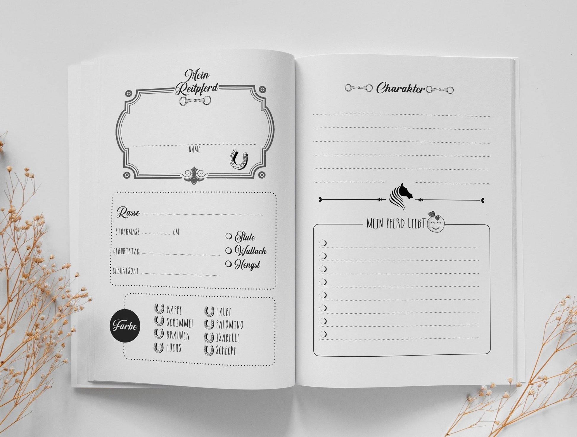 Mein Reitstunden Tagebuch (Buchdruck) - Monsoon Publishing