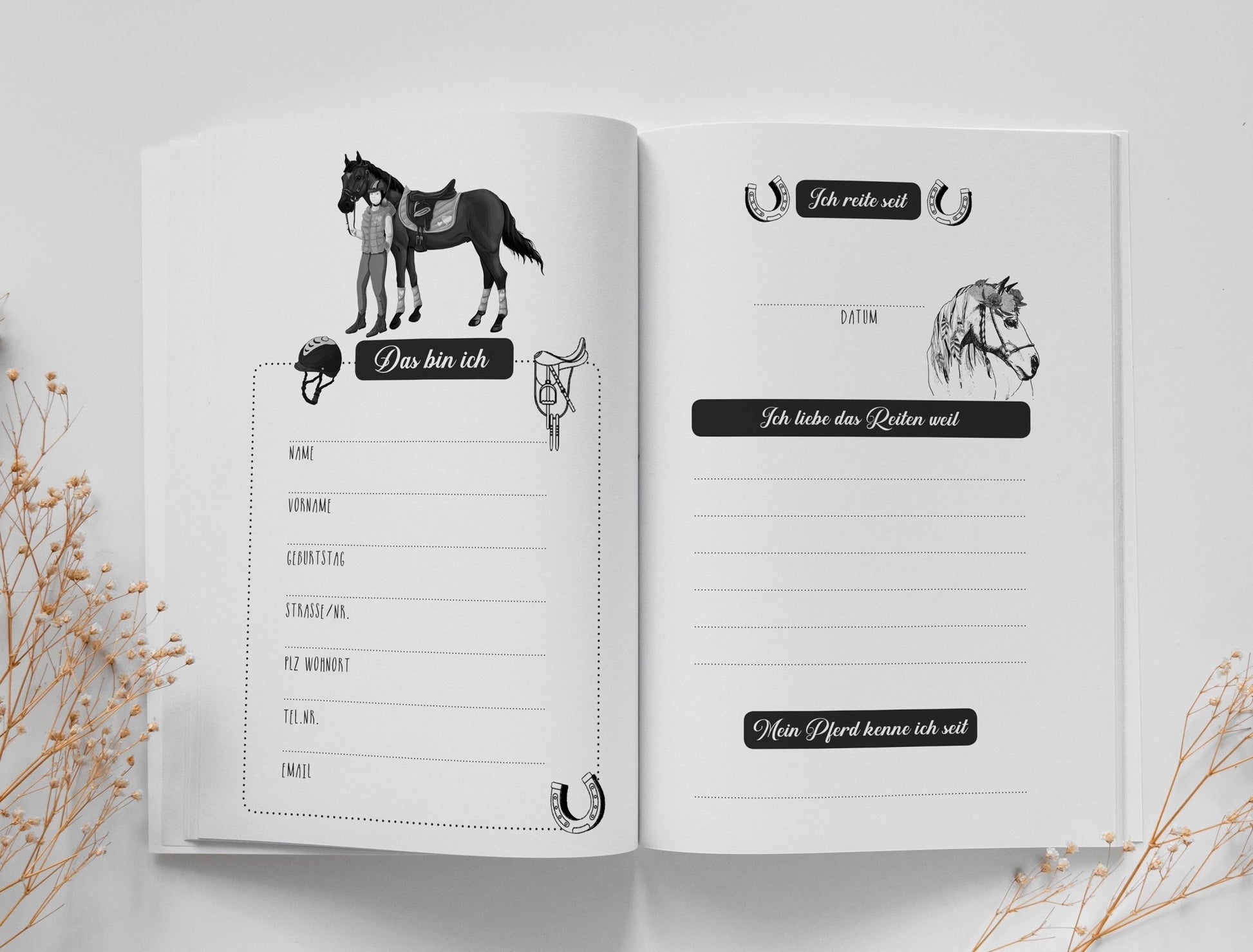 Mein Reitstunden Tagebuch (Buchdruck) - Monsoon Publishing