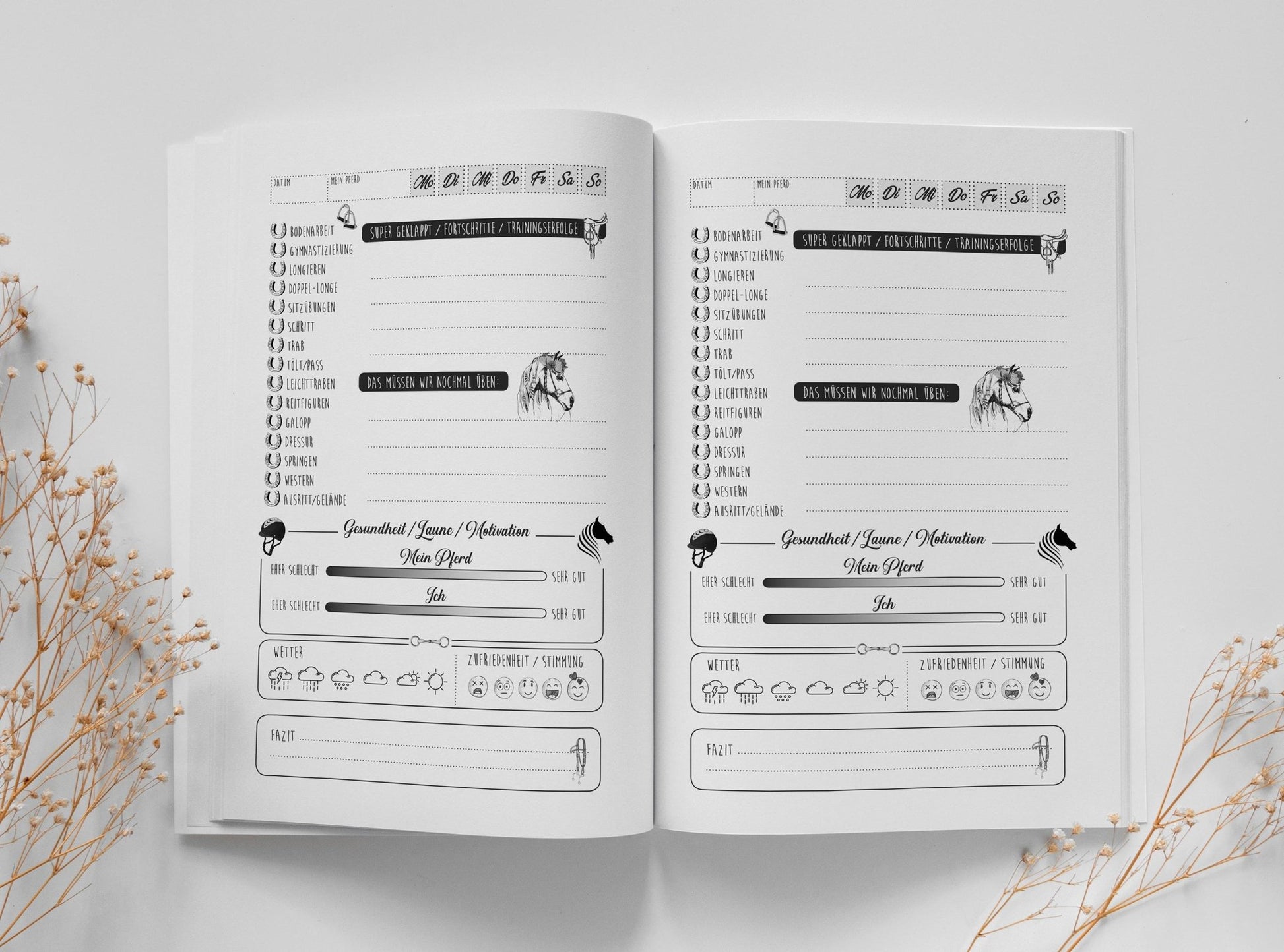 Mein Reitstunden Tagebuch (Buchdruck) - Monsoon Publishing